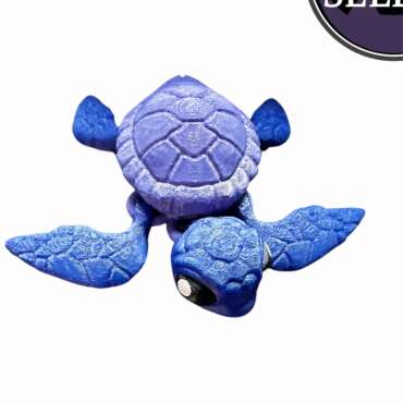 Sea Turtle