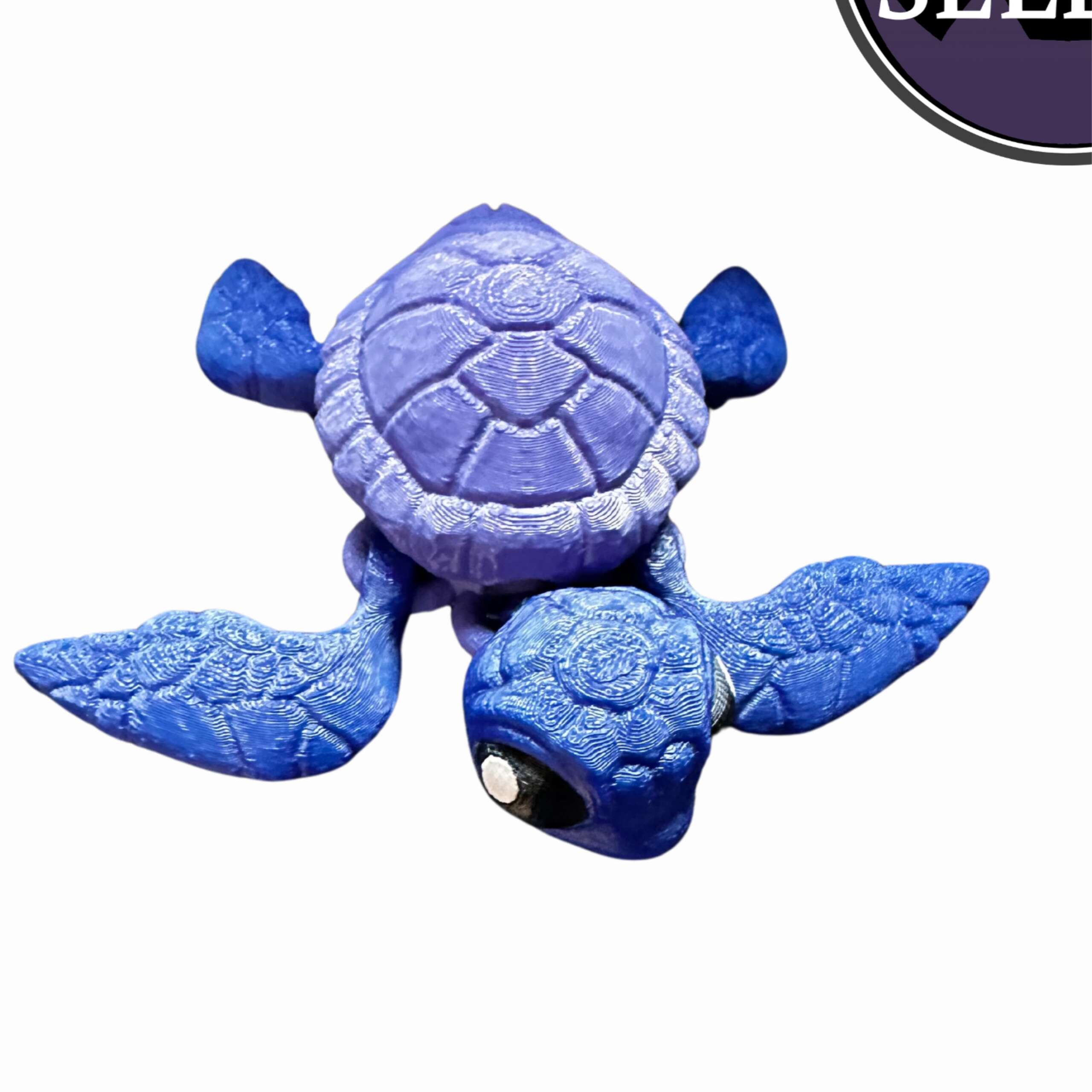 Sea Turtle